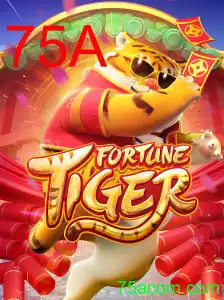 FortuneTiger